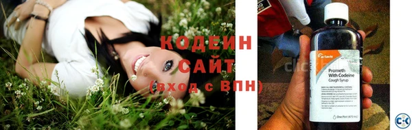 сатива Осташков
