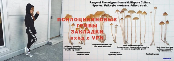 Альфа ПВП Богданович