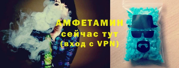 сатива Осташков