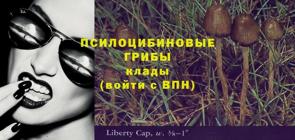 сатива Осташков