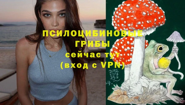 бошки Осинники