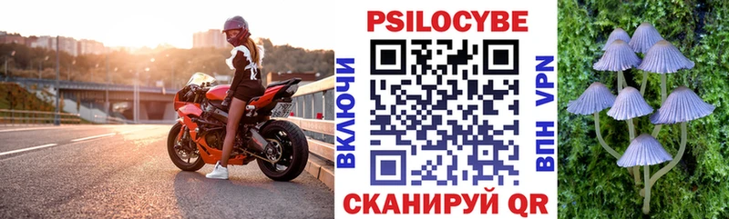 Псилоцибиновые грибы мицелий Кстово