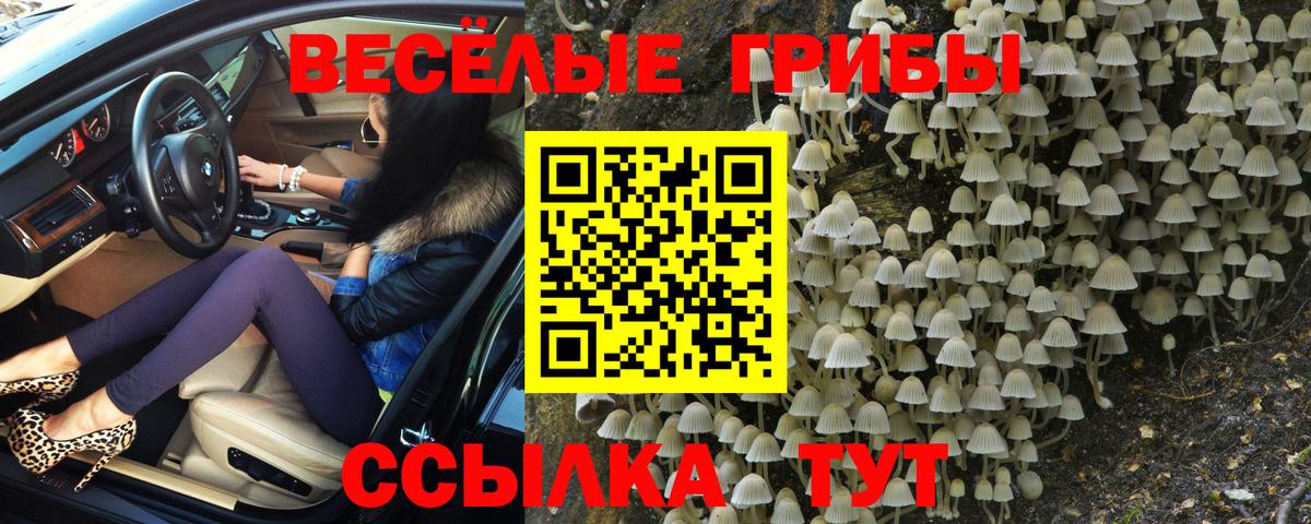 Кстово  Галлюциногенные грибы прущие грибы  Вход с VPN 